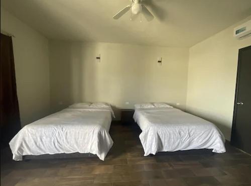 Hotel & Hostal 230 Valladolid (Yucatan) Eksteriør billede